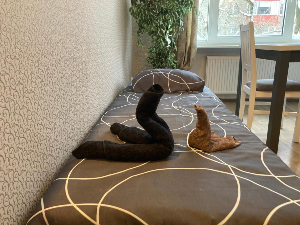 Apartment Find For The Traveler